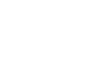 Shark 2
